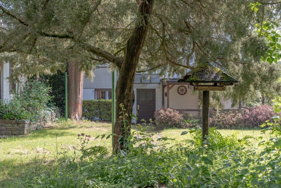 Blick in den Garten Grundst�ck D�sseldorf