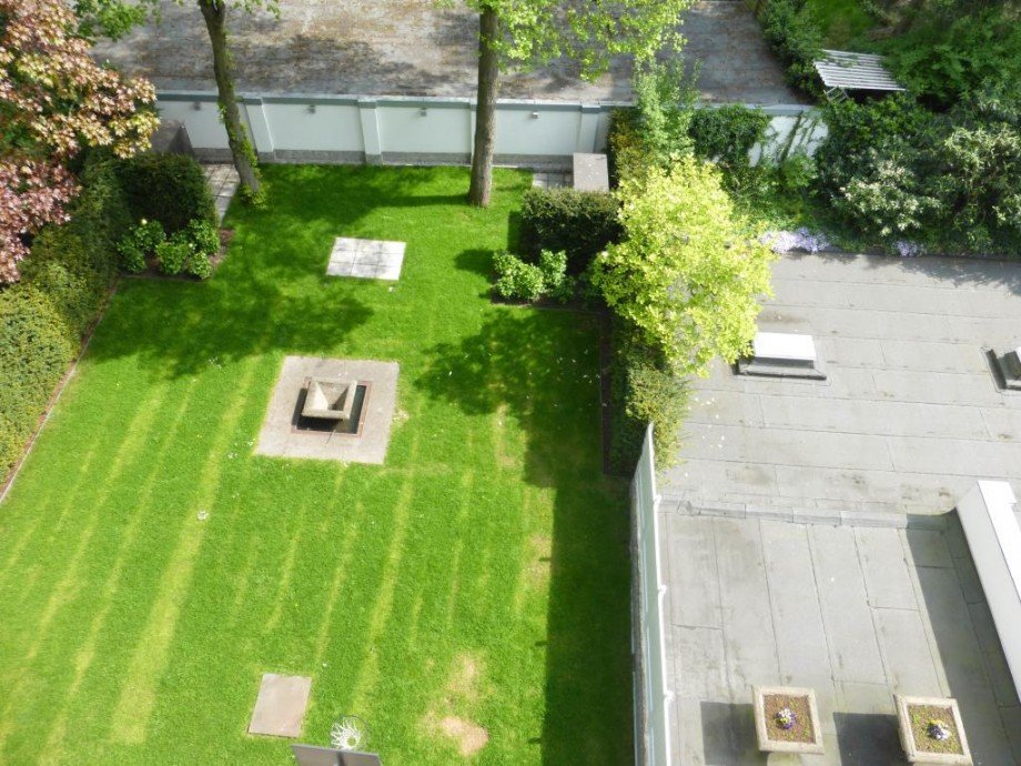 Blick in den Garten Wohnung 