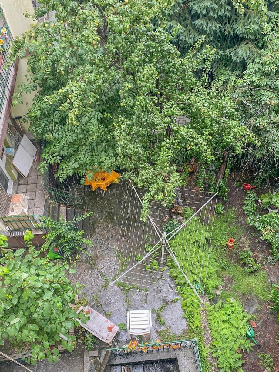 Blick in den Stadtgarten Mehrfamilienhaus D�sseldorf