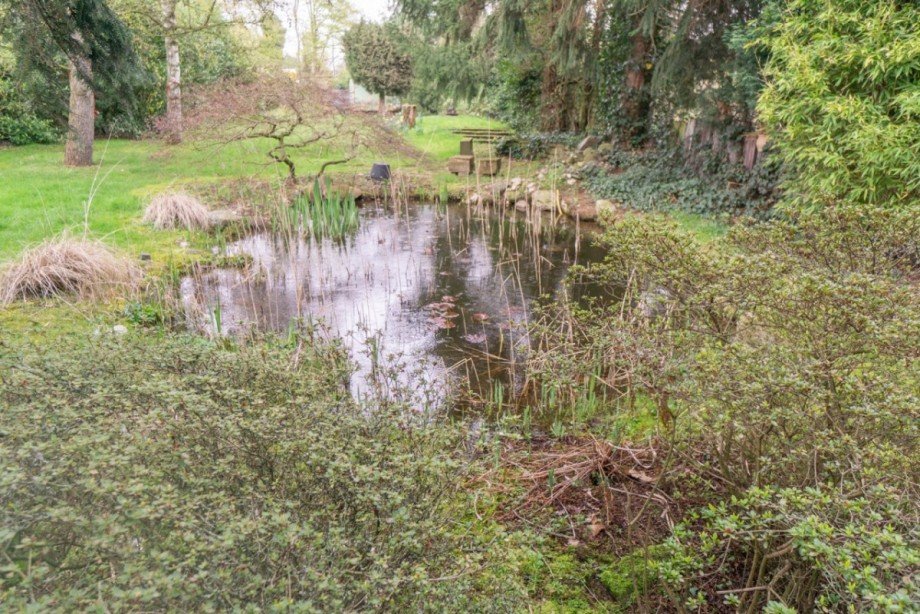 Teich im Park Zweifamilienhaus D�sseldorf