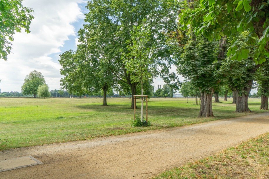 Rheinpark Etagenwohnung D�sseldorf