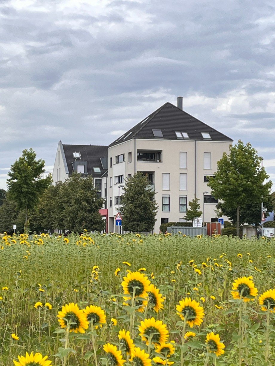 Hausansicht Etagenwohnung D�sseldorf